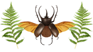 Projekt-bez-nazwy55-300x170