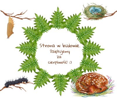 Kopia Bez nazwygg(1)